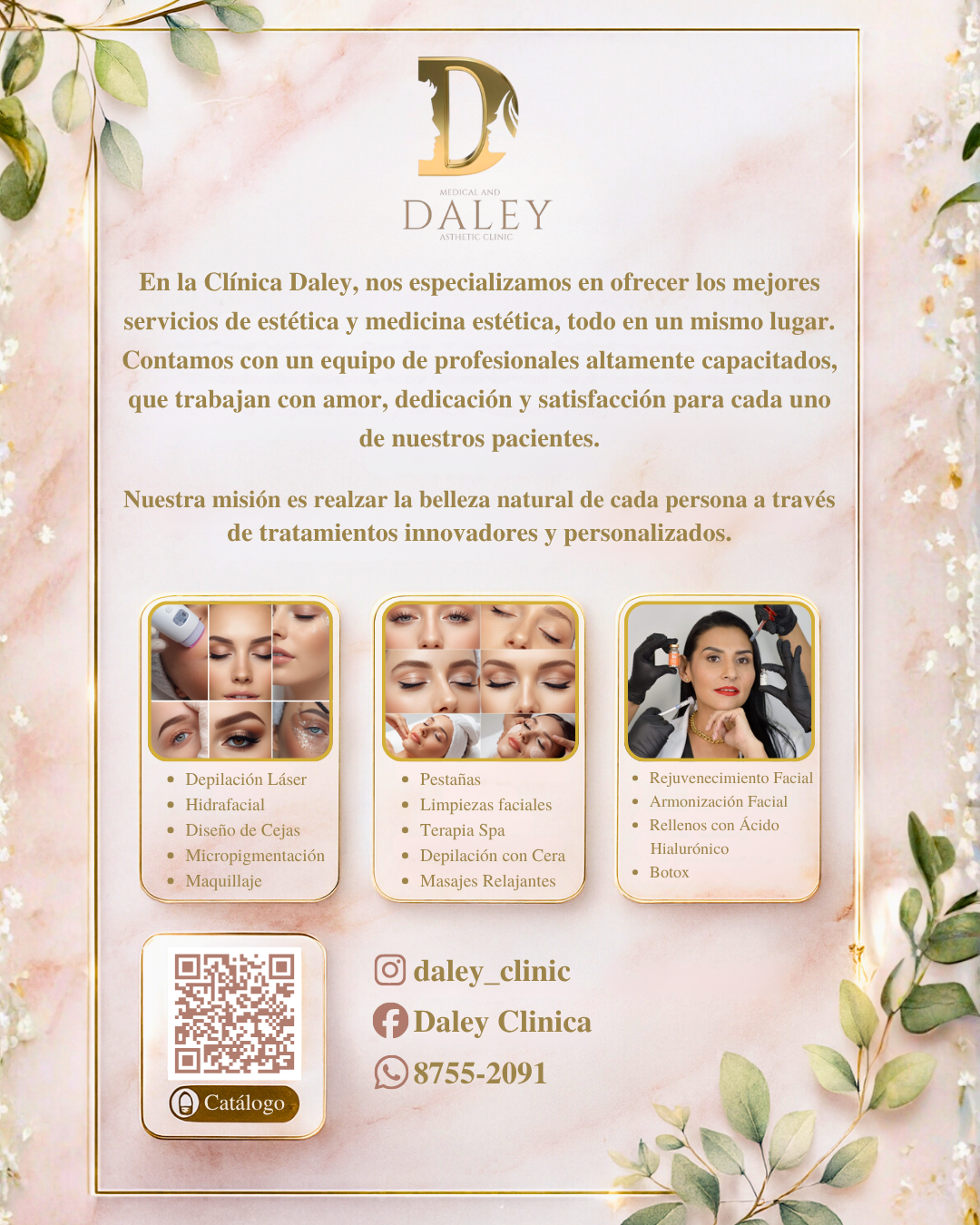 Daley — Diseño 2